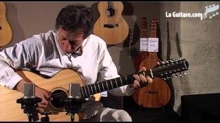 La guitare à douze cordes par Michel Gentils La grosse cavalerie [upl. by Fabiolas]