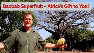 Baobab Superfruit  Africas Gift to You [upl. by Arem]