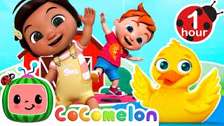 Silly Animal Dance  Hop Little Bunnies and More CoComelon Nursery Rhymes amp Kids Songs [upl. by Boycie]