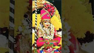 ✨💐🌷🌺🌼Swamye Saranam Iyyappa 🌼🌺🌷✨iyyappanstatusvideos iyyappanthangal iyyappansongsiyyappansongs [upl. by Minnaminnie]