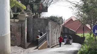 Carros de Cesto do Monte  Basket cars  Funchal Madeira Island [upl. by Eednahs106]