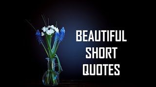 Beautiful Short Quotes  Life Lessons [upl. by Dorsey]