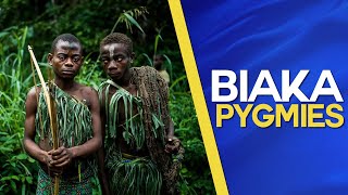 Biaka Pygmies ​of the Zaire rainforest Documentary about the former Belgian Congo [upl. by Annahgiel]