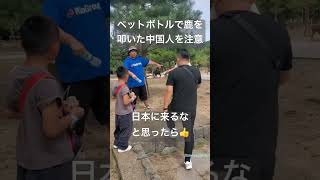 へずまりゅうさん、ペットボトルで鹿さんを叩いた中国人女さんを注意し、逆ギレされる。。 Shorts おすすめ 奈良公園の鹿 [upl. by Ellenehc]