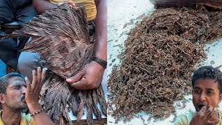 ऐसे बनता है Indian Tobaccoतंबाकू😱😱 How Tobacco is Made😳😳 Indian Street Food  Kolkata [upl. by Eiram846]