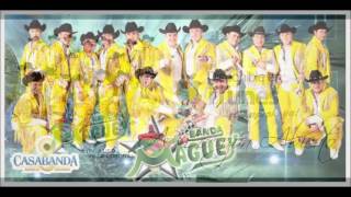 banda maguey [upl. by Augusta]