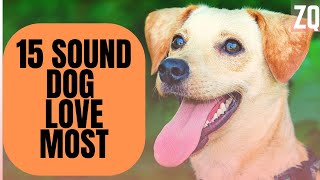 15 Sounds Dogs Love To Hear The Most  Sound Effects HD [upl. by Damahom818]