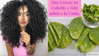 Haz Crecer tu Cabello y Frena la Caída con esta mascarilla de Nopal Alquitira [upl. by Yttiy180]