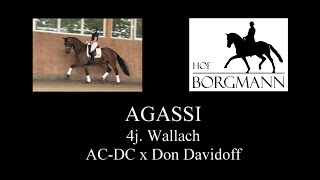 AGASSI  Hof Borgmann  Juni 2020 [upl. by Arratoon]