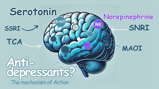 Do you know how Antidepressants work [upl. by Repohtsirhc]