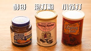 酵母、小苏打和泡打粉的区别，一次给你讲清楚 The differences between yeasts baking powder and baking soda [upl. by Kram585]