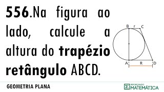 C14 TRIÂNGULOS RETÂNGULOS 556 [upl. by Andrey]