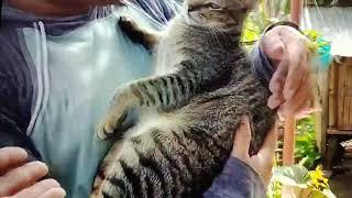 ANIMAL LOVER  ATE CHARING REYNA NG SOUTH KOREA  MADERMARING VLOG [upl. by Nnaeiram989]