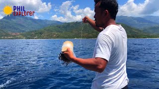 AMAZING TRADITIONAL FISHING TECHNIQUES IN THE PHILIPPINES  CATCHING DOLPHIN FISHSKIPJACK TUNA [upl. by Lowis]