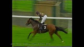 2001 Meon Valley Stud Fillies Mile Gossamer Inc Replay [upl. by Ennad]