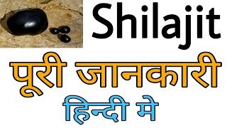 Shilajit Benefits in Hindi  Kushti Ke Deewane [upl. by Lasonde]