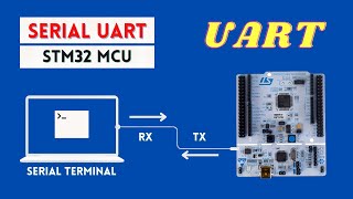 Serial UART with STM32 MicrocontrollerTransmit and Receive Data [upl. by Dnalyar296]