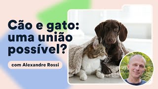 Como socializar gatos com cães Alexandre Rossi explica  Petz TV Comportamento [upl. by Odlanir]