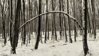 Lochaber No More  steel tongue drum Barbara Pazur and harp Elżbieta Dąbrowska [upl. by Llatsyrc]