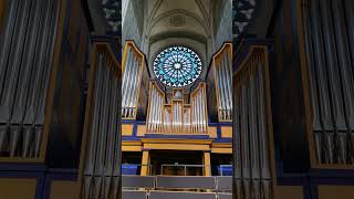 The Amazing Organ Instruments of Uppsala Cathedral Uppsala domkyrka Sweden [upl. by Kinata]