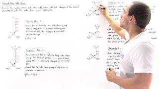 Basic and Acidic Amino Acids [upl. by Anaihr]