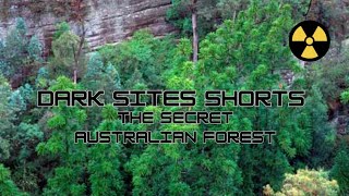 Dark Sites Shorts The Secret Australian Forest [upl. by Knowle]