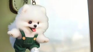 🥳🫨LETS PLAY DOG COIN BANK ASMR SHORTLIVE SHORTFEED TRENDING [upl. by Yllib]