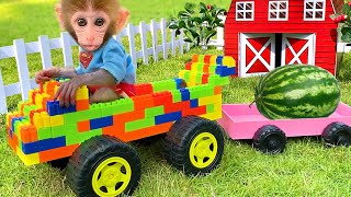 Baby Monkey Bon Bon Broken Truck While Harvesting Fruit and Get Helped By Puppy [upl. by Nami]