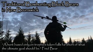 Traditional Bowhunting Black Bear in New Brunswick [upl. by Larcher562]