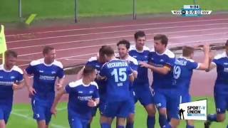 040616  Finale Grande Neckarsulmer SportUnion  1 Göppinger SV 41 [upl. by Strade294]