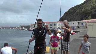 portugalilha do faial acores 2016 hortaBALEEIROS DA HORTAilha azul [upl. by Annavas]