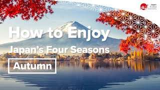 How to Enjoy Japans Four Seasons  Autumn [upl. by Nera]