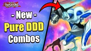 THIS CHANGES EVERYTHING  NEW PURE DDD COMBOS  POST PREMIUM PACK 2025  YuGiOh [upl. by Ogden]