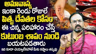 Mahalaya Paksham 2023  కుటుంబ శాపం నుండి బ‌య‌ట‌ప‌డే ప‌వ‌ర్ పుల్ రెమెడీ Nandibhatla Srihari Sharma [upl. by Dnaltiak35]