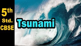 Tsunami  5th Std  Science  CBSE Board  Home Revise [upl. by Marb]