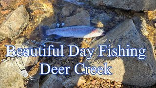 Deer Creek Is one Fish Worth It [upl. by Booker]