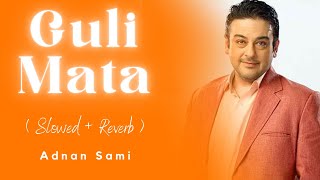 Guli Mata  Adnan Sami  AI Voice  Slowed  Reverb [upl. by Blount]