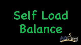 Anki Self Load Balance [upl. by Vevina705]