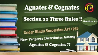 Agnate and Cognate Three Rule of Section 12 of Hindu Succession Act 1956 in Hindi [upl. by Hplar]