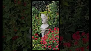 The Flower Lady flowers garden youtube nature southcarolina LibbysBackyardWildlifeHabitat [upl. by Laaspere]