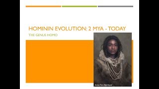 Hominin Evolution Part 2 The Genus Homo [upl. by Eadrahc990]