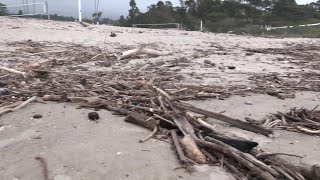 Volleyball court erosion shrinks East Beach [upl. by Beck215]