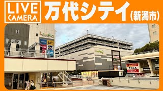 【LIVE】新潟万代シテイ交差点 ライブカメラ＜BANDAI CITY NIIGATA LIVE CAMERA＞ [upl. by Nosmas]