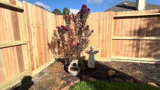 Cedar Wood Privacy Fence with Rot Board 20240919 [upl. by Chloris]