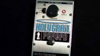 Electro Harmonix Holy Grail Reverb [upl. by Esaj]