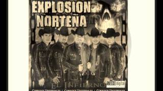 Corrido Del Tolin Explosion Norteña 2013 [upl. by Haff]