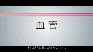 資生堂 肌研究の歴史｜資生堂 [upl. by O'Reilly]