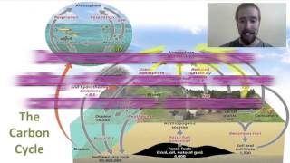 Biology 014 Biogeochemical Cycles [upl. by Htebilil]