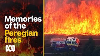 2019 Peregian Fires One year on  2020 Black Summer bushfires  ABC Australia [upl. by Aubarta646]