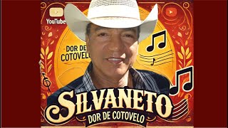 🤠 ETA DOR DE COTOVELO DANADA 😎 FORROZÃO RETADO DO SILVANETO PRA DANÇAR ATÉ MANDÁ PARÁ 😀 [upl. by Avin24]